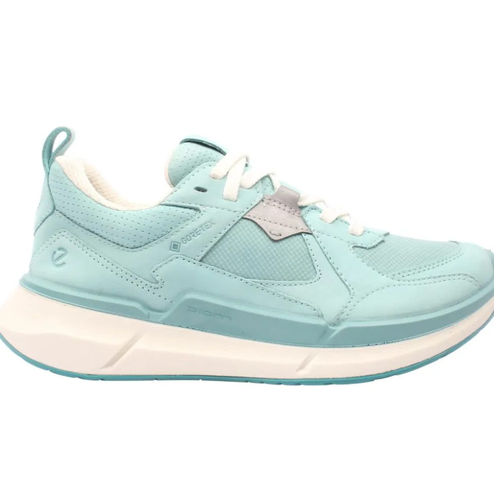 830813 Biom 2.2 Shoe - Blue