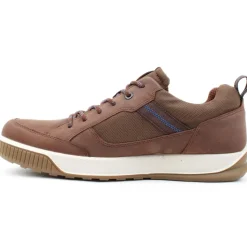 501874 Byway Ted Shoe - Brown