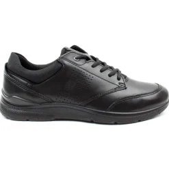 511734 Irving Laced Shoe - Black Black