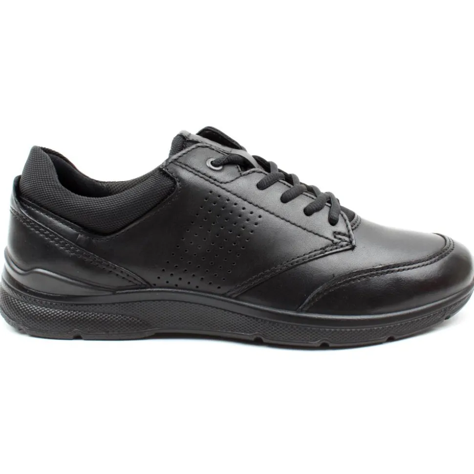 511734 Irving Laced Shoe - Black Black