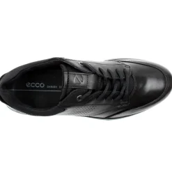 511734 Irving Laced Shoe - Black Black