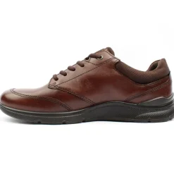 511734 Irving Laced Shoe - Brown Multi