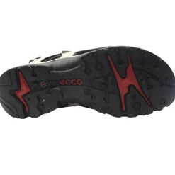 822043 Off Road Sandal - Rose