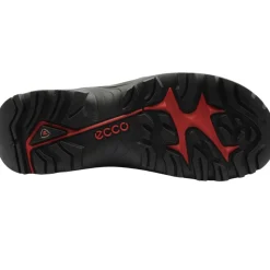 822354 Offroad Shoe - Black Brown