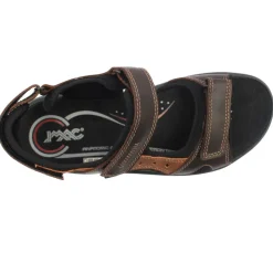 753650 Sandal - Brown