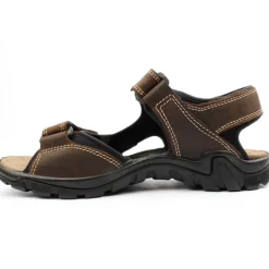 553040 Sandal - Brown