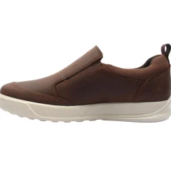 501654 Shoe - Brown