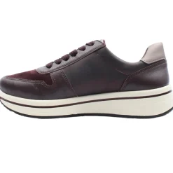 27540 Shoe - Wine