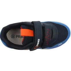 7951100 Trainer - Blue Multi