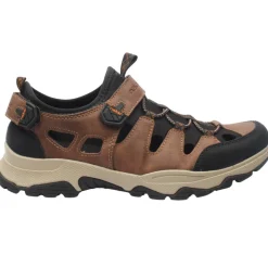 B8375 Closed Sandal - Black Brown