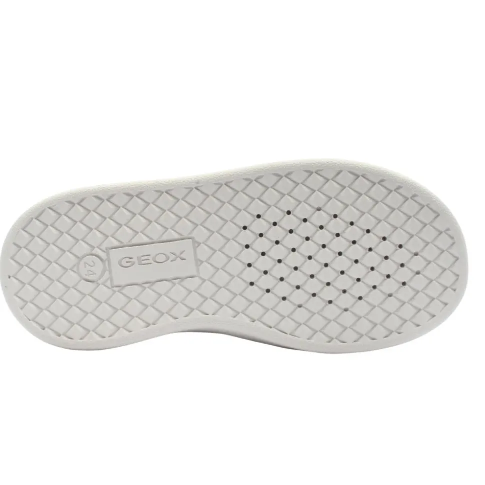 B555la Shoe - Navy Blue