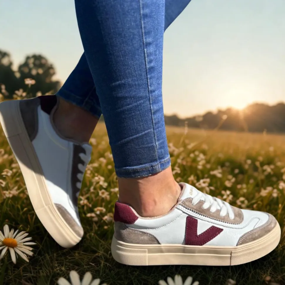 Drlys Eighty Trainer - White Wine