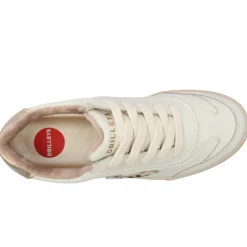 Drlys Eighty Trainer - Whiteleopard