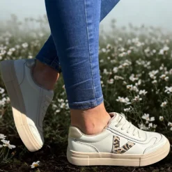 Drlys Eighty Trainer - Whiteleopard