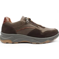 H Max 718006 - Brown
