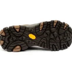 J003809 Moab Shoe - Brown