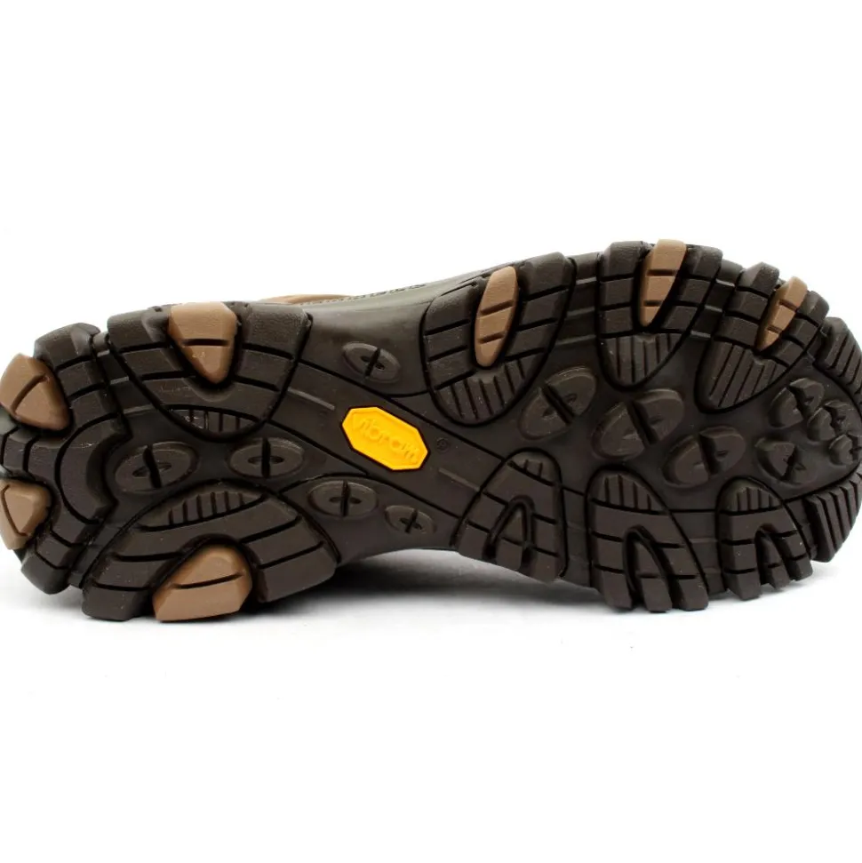 J003809 Moab Shoe - Brown