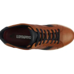 Lloyd And Pryce Cima Shoe - Tan