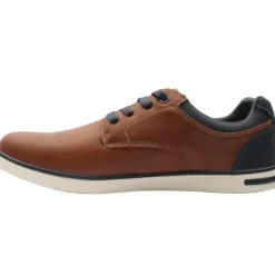 Lloyd And Pryce Lomax - Camel