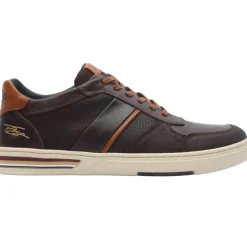 Lloyd And Pryce Montoya Shoe - Dark Brown