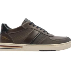 Lloyd And Pryce Montoya Shoe - Grey