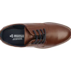 Lloyd And Pryce Sheahan - Camel