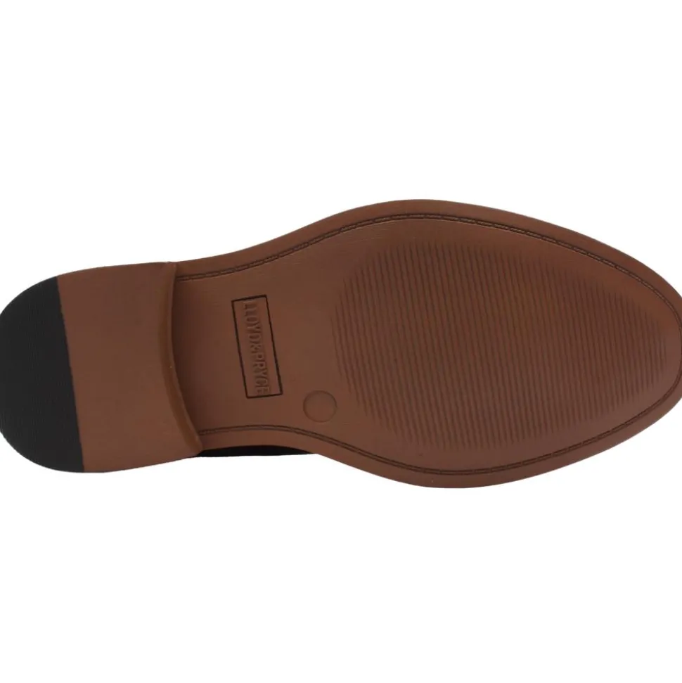 Lloyd And Pryce Sheahan - Camel