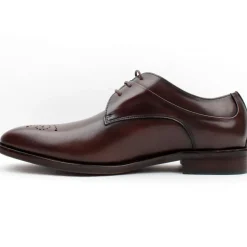 Lloyd And Pryce Trafalgar Shoe - Brown