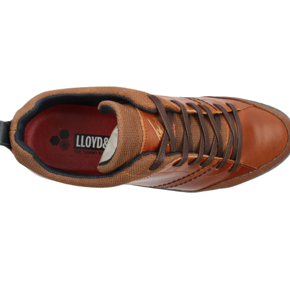 Lloyd And Pryce Vivas Shoe - Tan