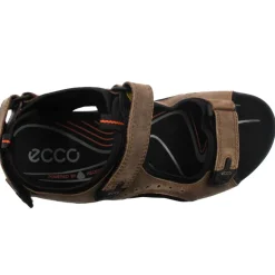 Offroad Sandal 822044 - Brown