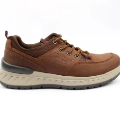 Stamford Laced Shoe - Brown