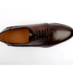 X1547 Dress Shoe - Brown