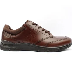 511734 Irving Laced Shoe - Brown Multi