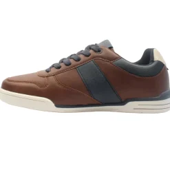 Lloyd And Pryce Berthwick - Camel