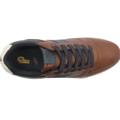 Lloyd And Pryce Berthwick - Camel