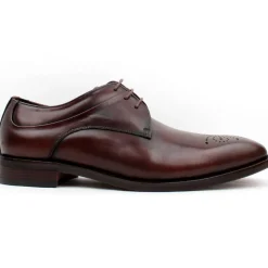 Lloyd And Pryce Trafalgar Shoe - Brown