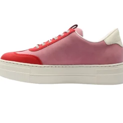 N4952 Shoe - Pink Multi