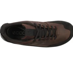 822354 Offroad Shoe - Black Brown