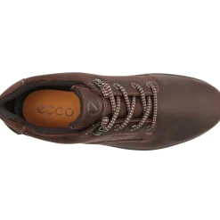 838134 Rugged Track Shoe - Brown