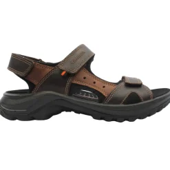 753650 Sandal - Brown