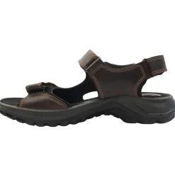 753650 Sandal - Brown