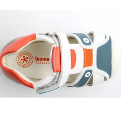 242154 Sandal - White Blue