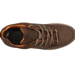 Stamford Laced Shoe - Dark Brown