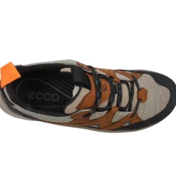 822454 Trainer - Black Brown