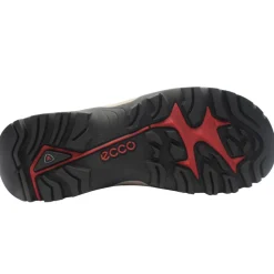 822454 Trainer - Black Brown