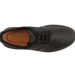 510174 Turin Shoe - Black Black