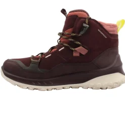 824273 Ult Trn Boot - Fig